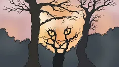 Co widzisz na tym obrazku? Test psychologiczny, który ujawnia, jak postrzegasz świat