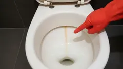 Wszyscy znają ten żółty pasek, ale nie wszyscy znają prosty sposób, by się go pozbyć