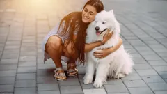 Najbardziej przyjazne rasy psów dla rodzin z dziećmi, które naprawdę kochają ludzi